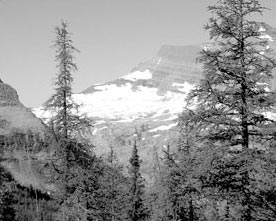 glacier2.jpg (18373 bytes)